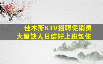 佳木斯KTV招聘促销员大量缺人日结好上班包住